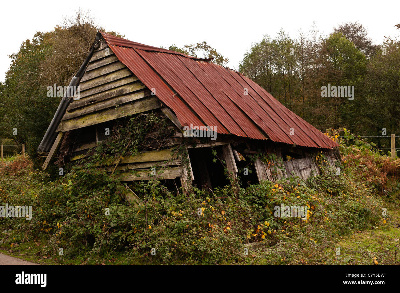 An old barn falling into disrepair in The New Forest Hampshire England Stock Photo