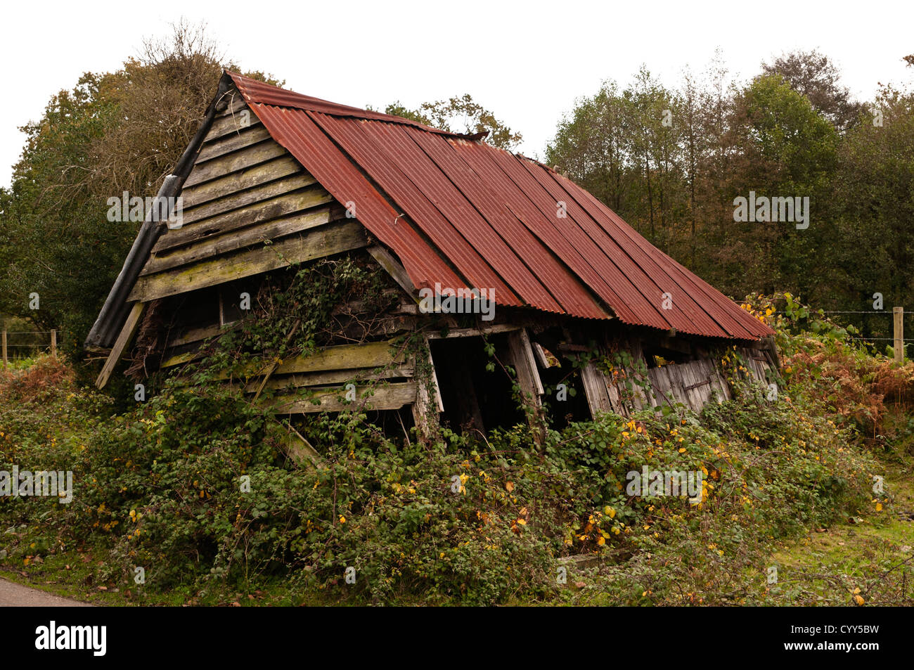 An Old Barn Falling Into Disrepair In The New Forest Hampshire