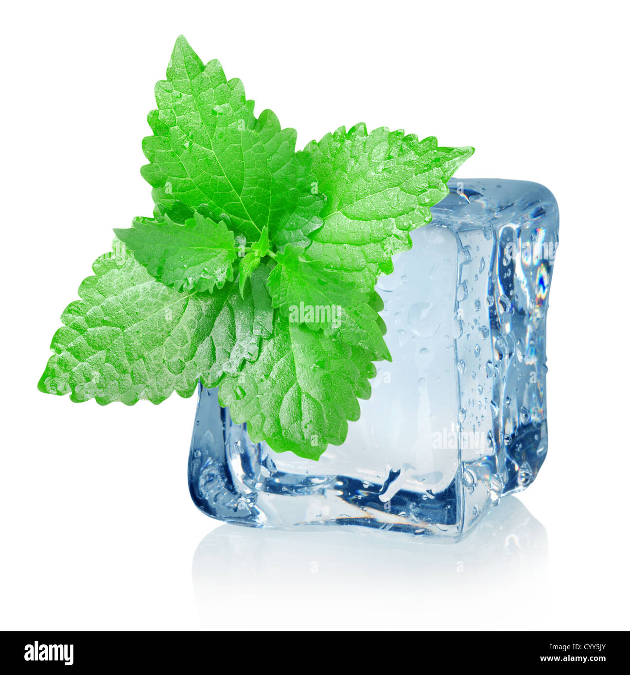 Ice cube and mint isolated on a white background Stock Photo
