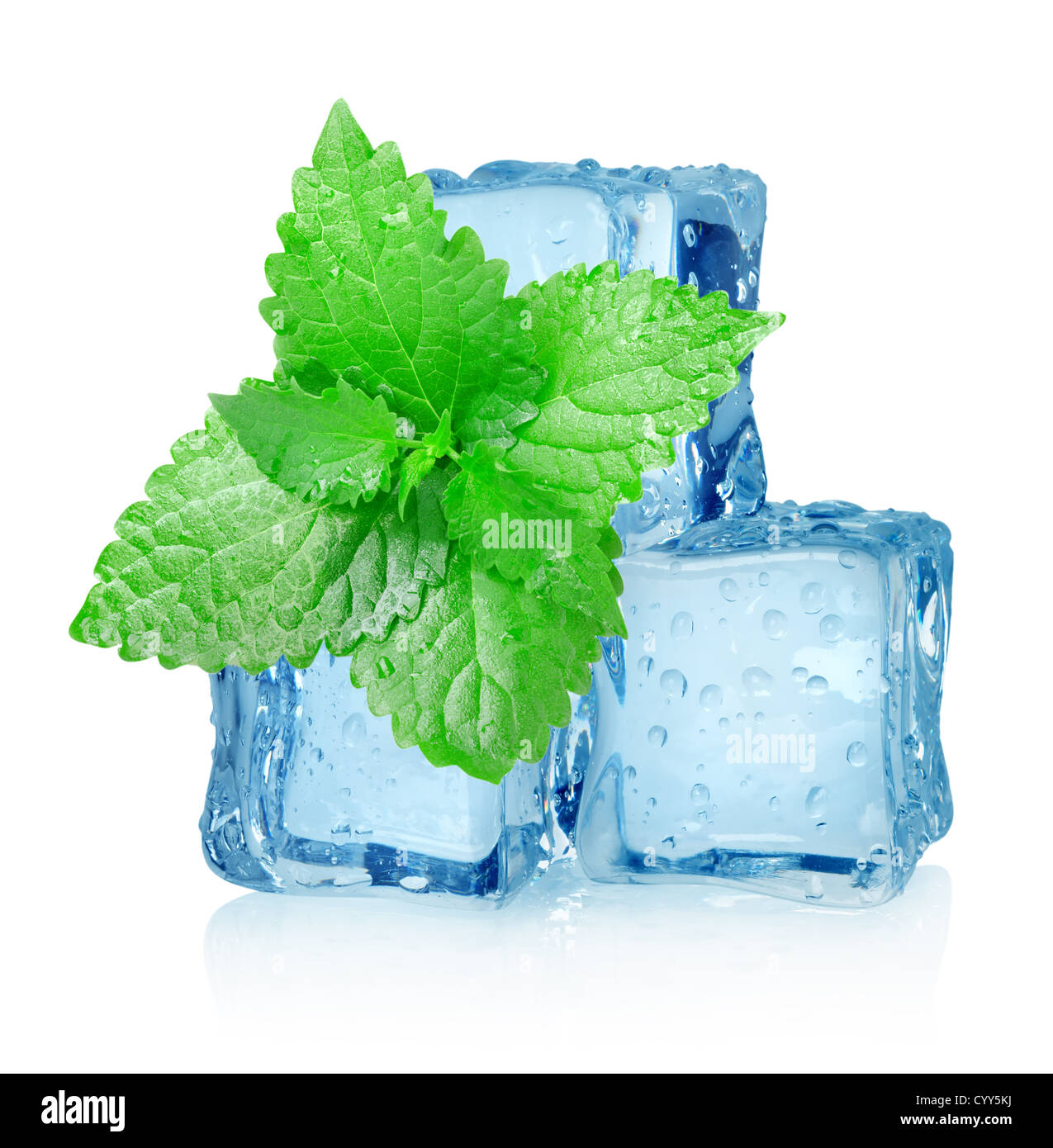 Three ice cubes and mint isolated on a white background Stock Photo