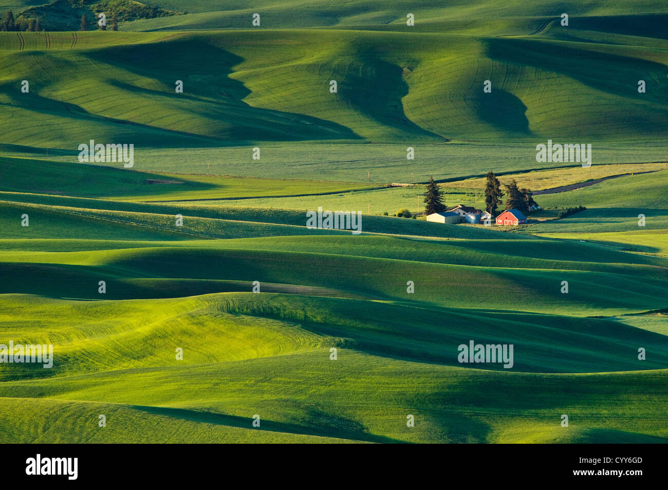 Palouse farm and wheat fields from Steptoe Butte, Washington. Stock Photo