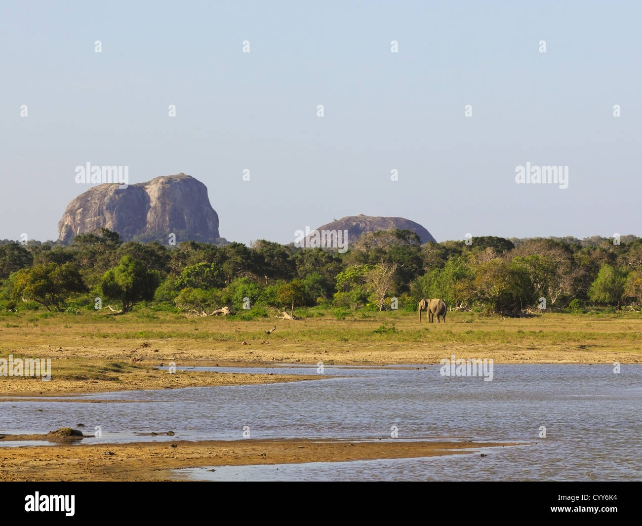 A Sri Lankan landscape with a view across a lagoon with a lone elephant and elephant rock in Yala national park Stock Photo