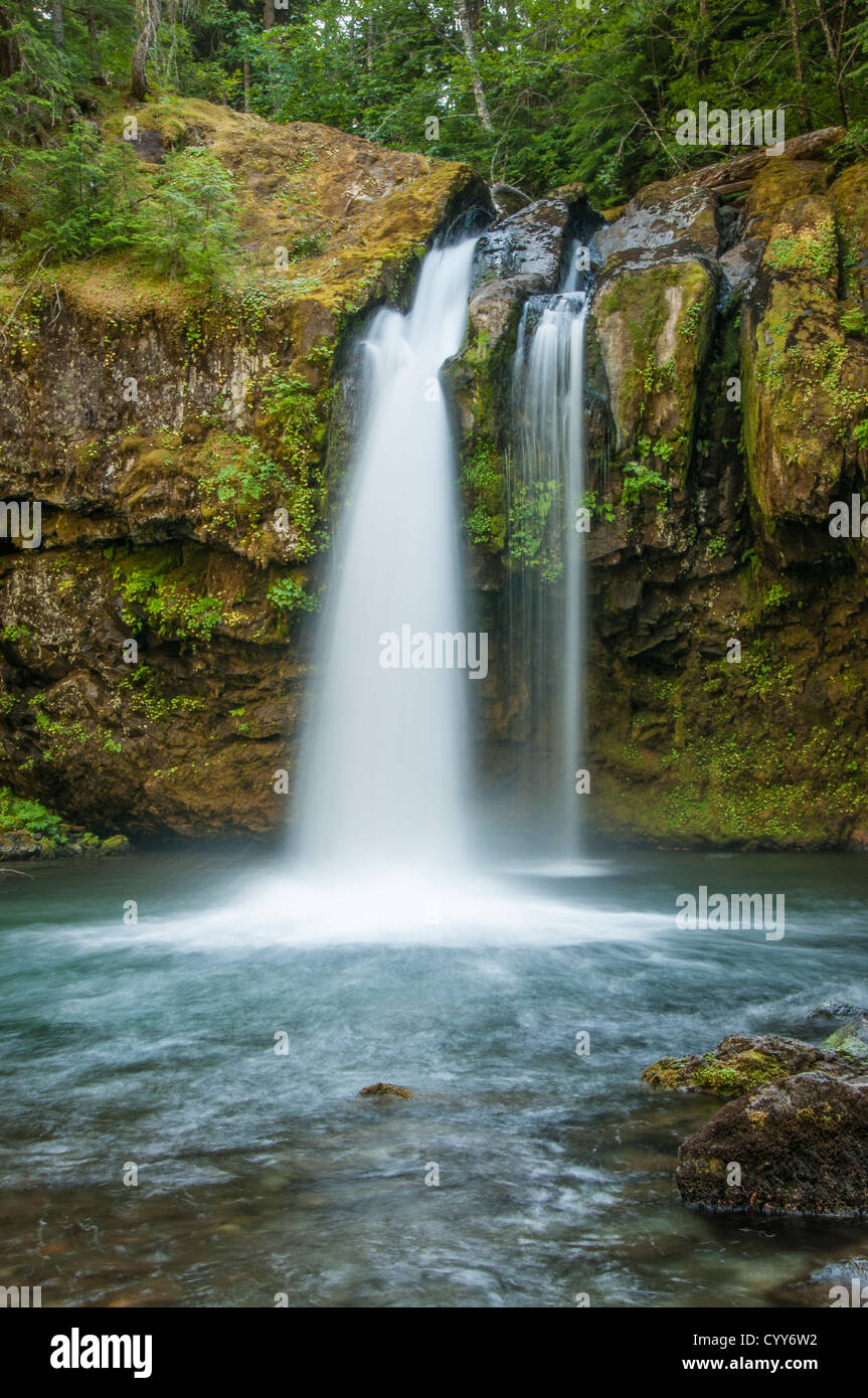 Iron Creek Falls, Gifford Pinchot National Forest, Washington Stock