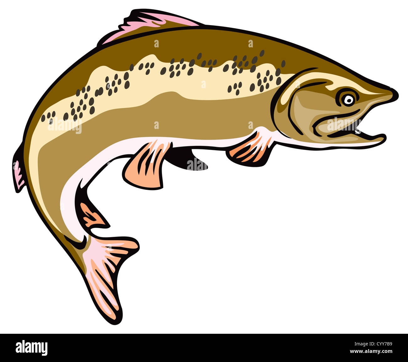 Illustration of a trout fish done in retro style Stock Photo - Alamy