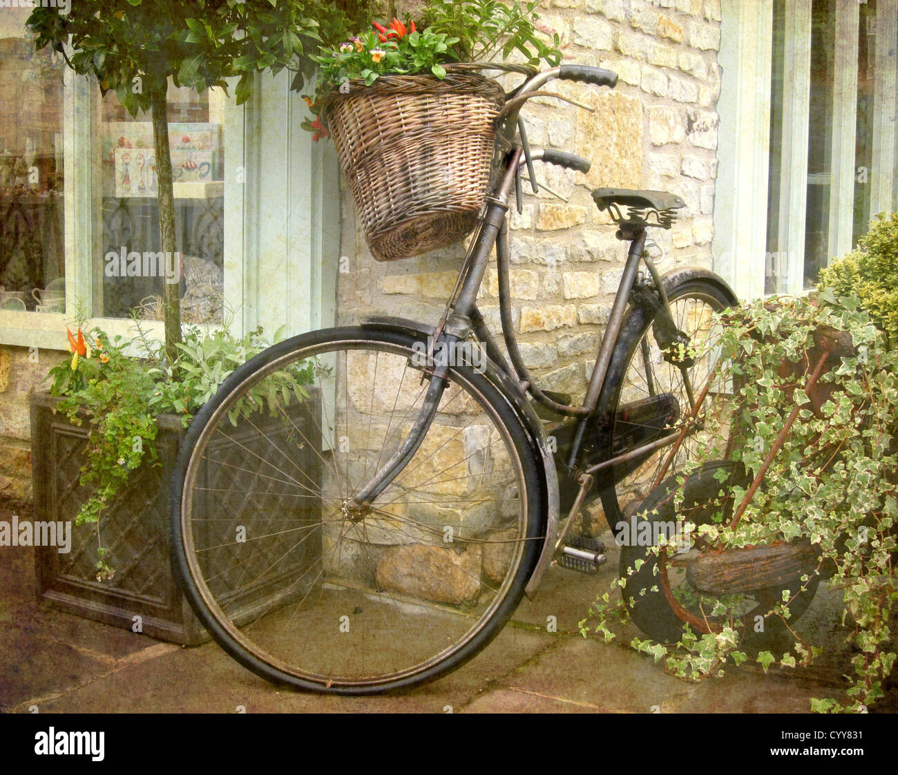 somerset bike shop