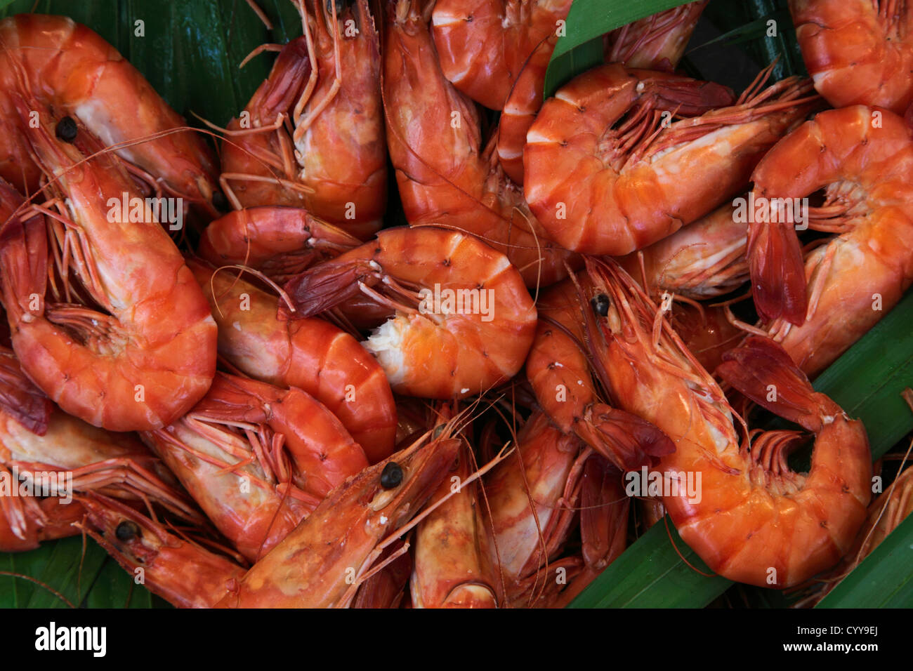 shrimps for sale on fish market Stock Photo Alamy