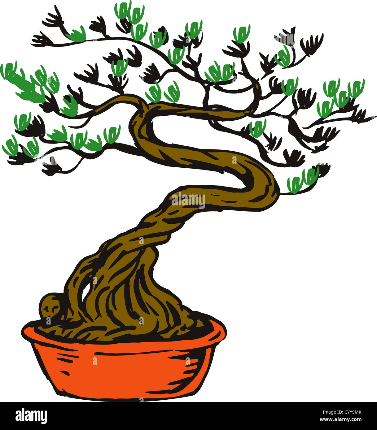 illustration of a bonsai tree in pot on isolated white background Stock ...