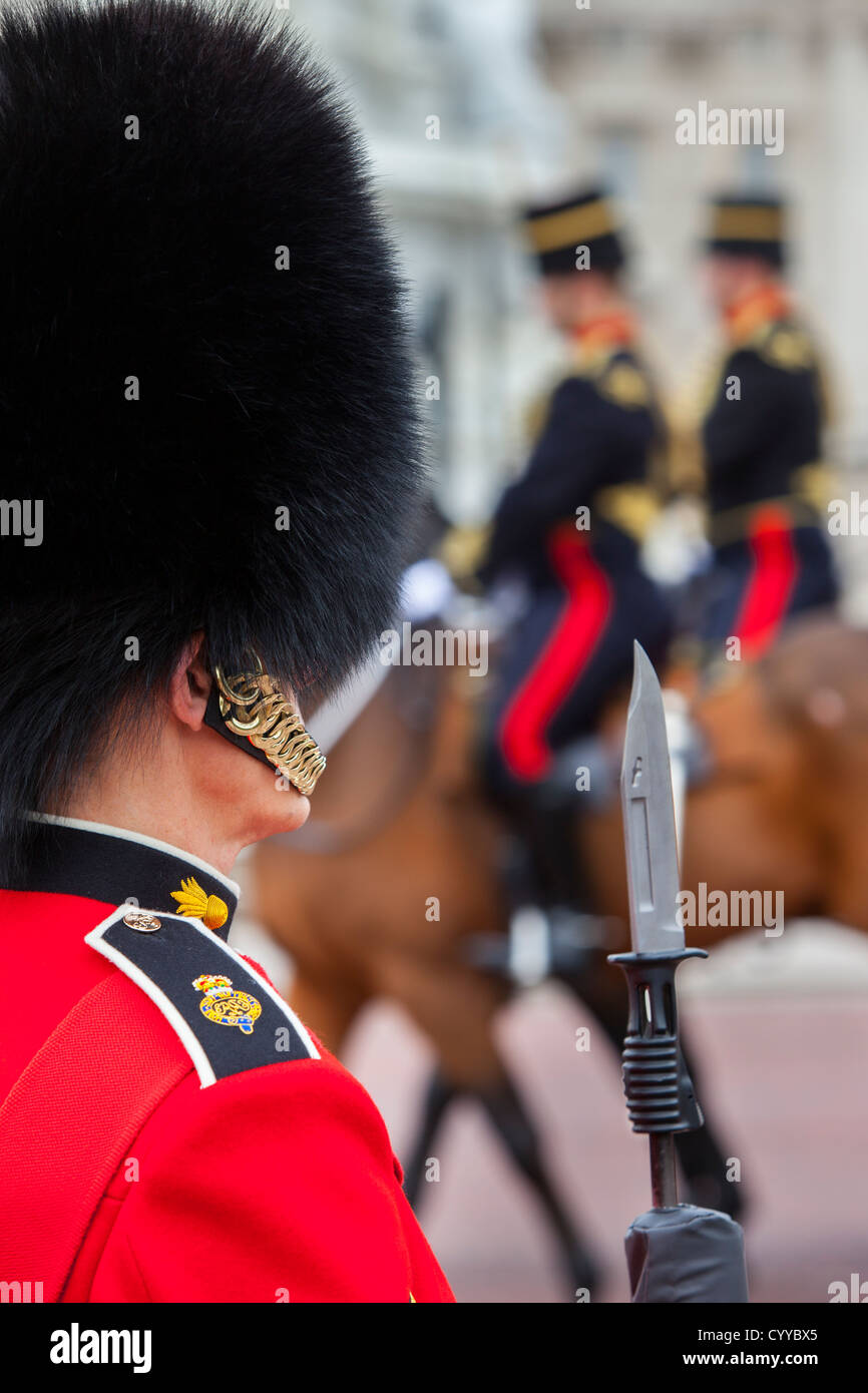 Member of the Scots Guard at Buckingham Palace, London England, UK Stock Photo