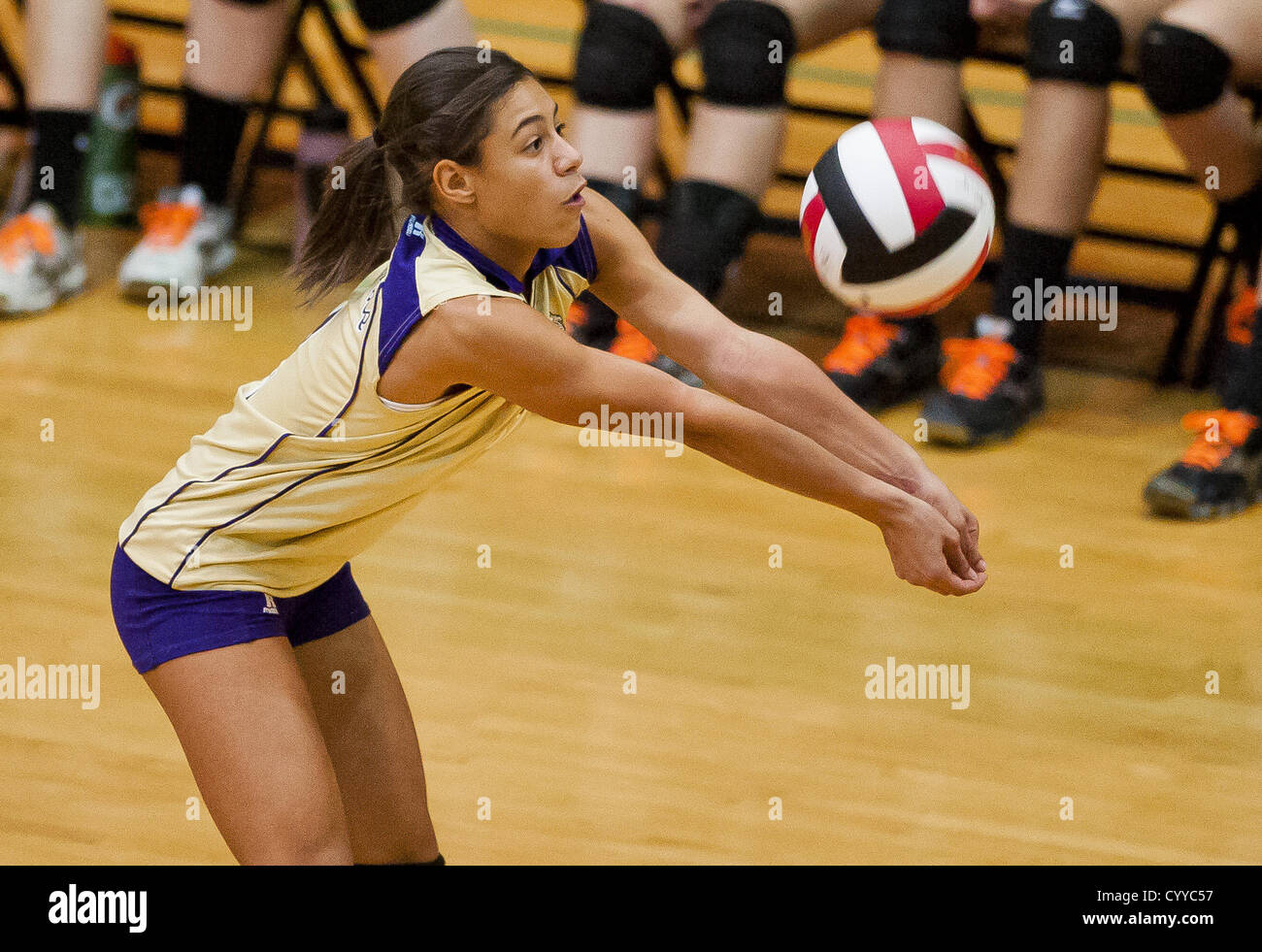 Nov. 12, 2012 - College Park, Maryland, U.S. - Smithsburg's Marissa Danglert hits the ball during the Sparrows Point High School versus Smithsburg High School match in the Semifinals of the Maryland State Volleyball 1A Championship at Ritchie Coliseum in College Park, Maryland on November 12, 2012. Smithsburg defeated Sparrows Point in straight sets 25-10, 25-12, 25-10 to advance to the State Finals. (Credit Image: © Scott Serio/Eclipse/ZUMAPRESS.com) Stock Photo