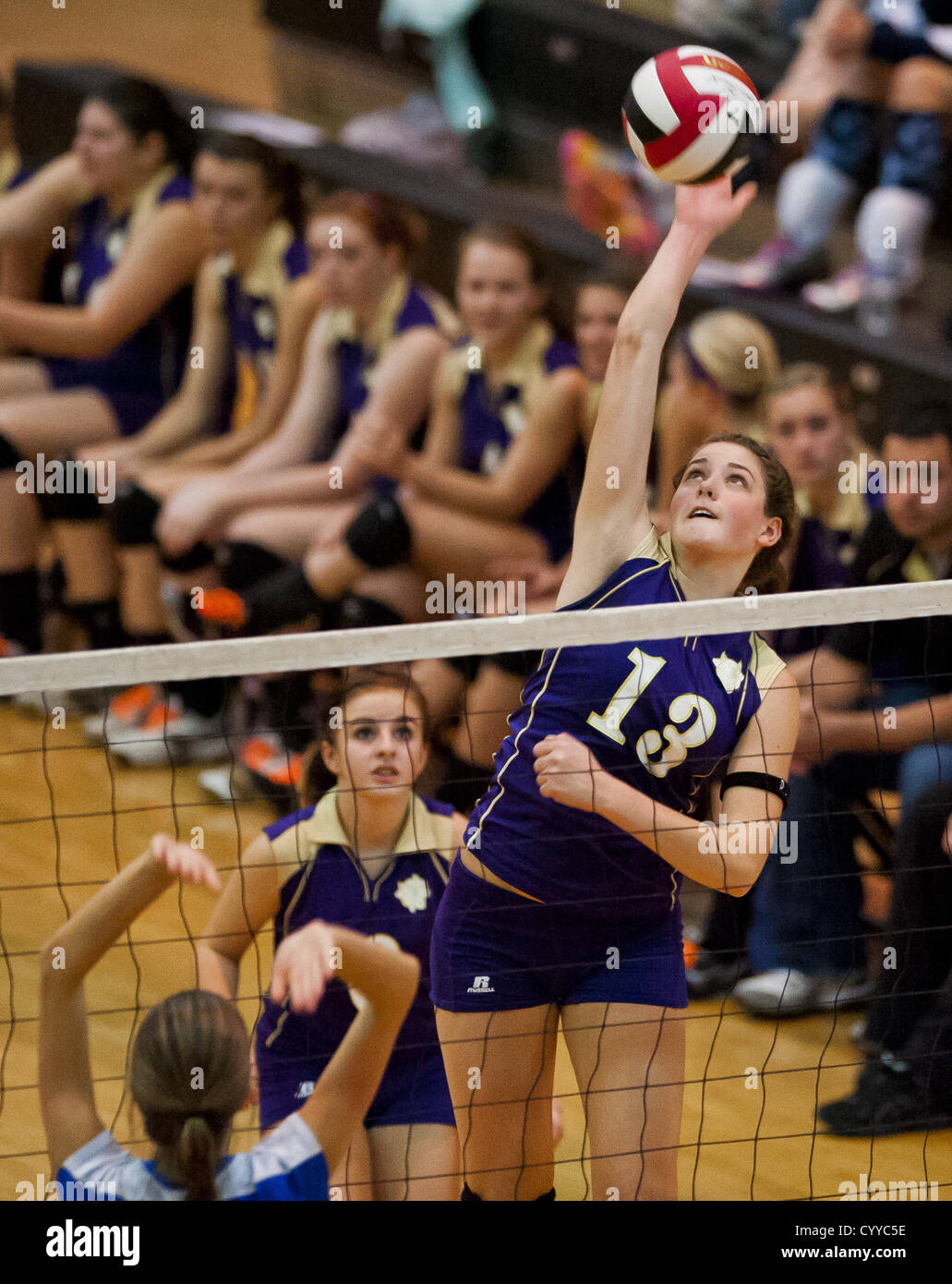 Nov. 12, 2012 - College Park, Maryland, U.S. - Smithsburg's Amanda Snowden hits the ball during the Sparrows Point High School versus Smithsburg High School match in the Semifinals of the Maryland State Volleyball 1A Championship at Ritchie Coliseum in College Park, Maryland on November 12, 2012. Smithsburg defeated Sparrows Point in straight sets 25-10, 25-12, 25-10 to advance to the State Finals. (Credit Image: © Scott Serio/Eclipse/ZUMAPRESS.com) Stock Photo