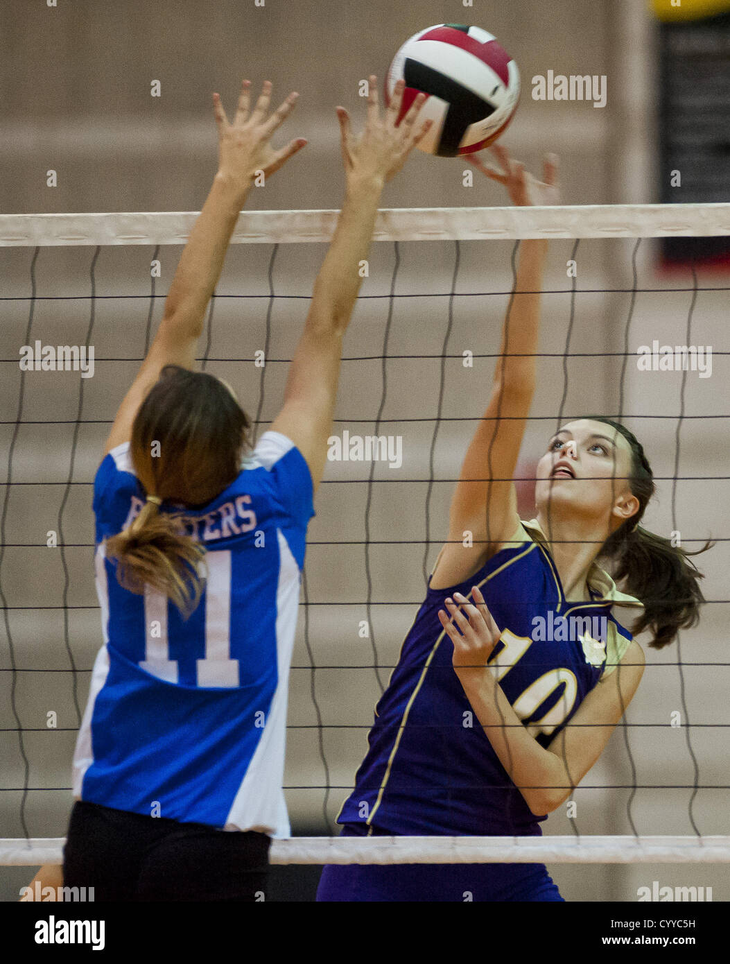 Nov. 12, 2012 - College Park, Maryland, U.S. - Smithsburg's Emily Seward hits the ball during the Sparrows Point High School versus Smithsburg High School match in the Semifinals of the Maryland State Volleyball 1A Championship at Ritchie Coliseum in College Park, Maryland on November 12, 2012. Smithsburg defeated Sparrows Point in straight sets 25-10, 25-12, 25-10 to advance to the State Finals. (Credit Image: © Scott Serio/Eclipse/ZUMAPRESS.com) Stock Photo