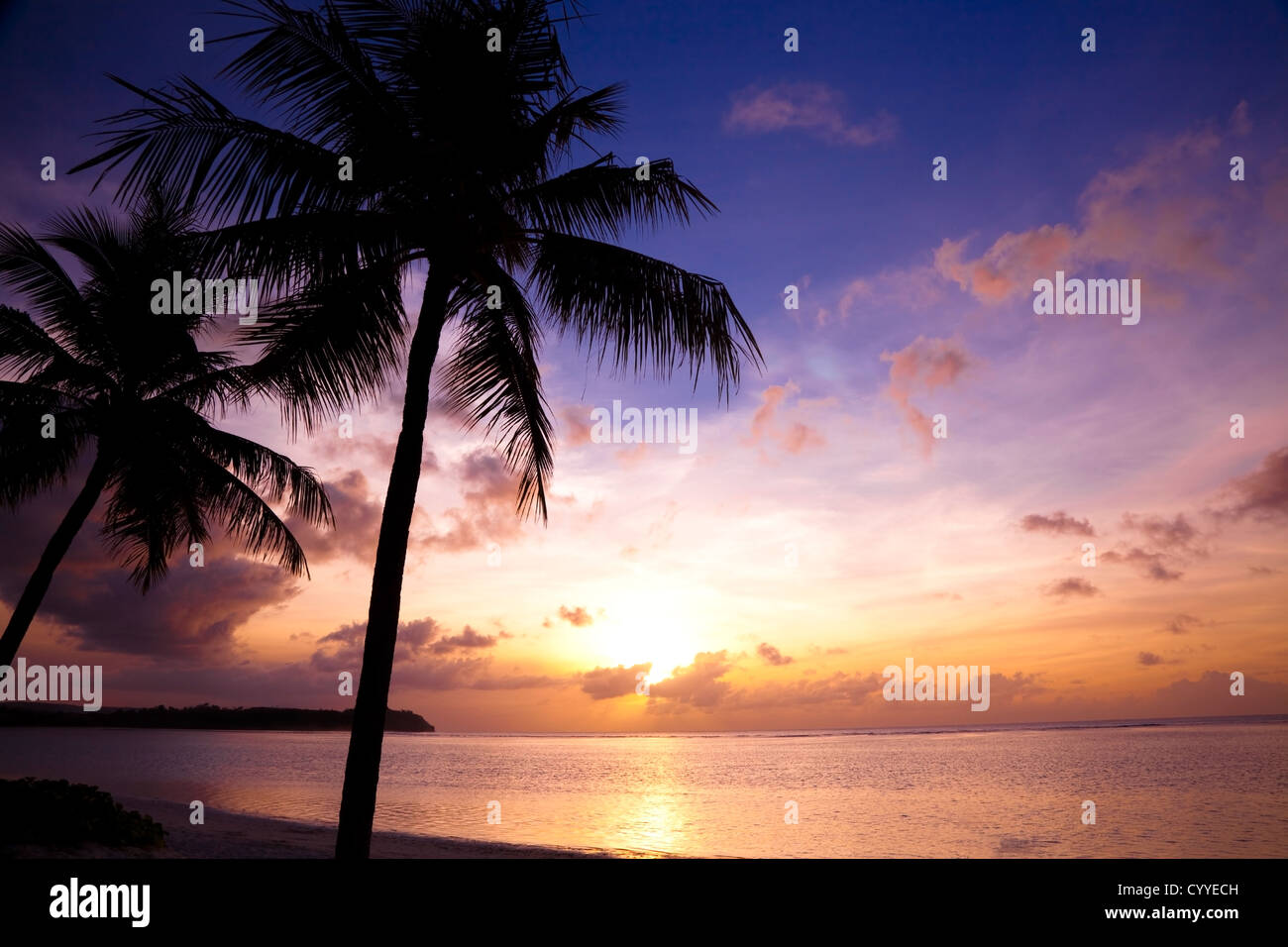 Beautiful sunset on the tropic beach and coconut palms Stock Photo