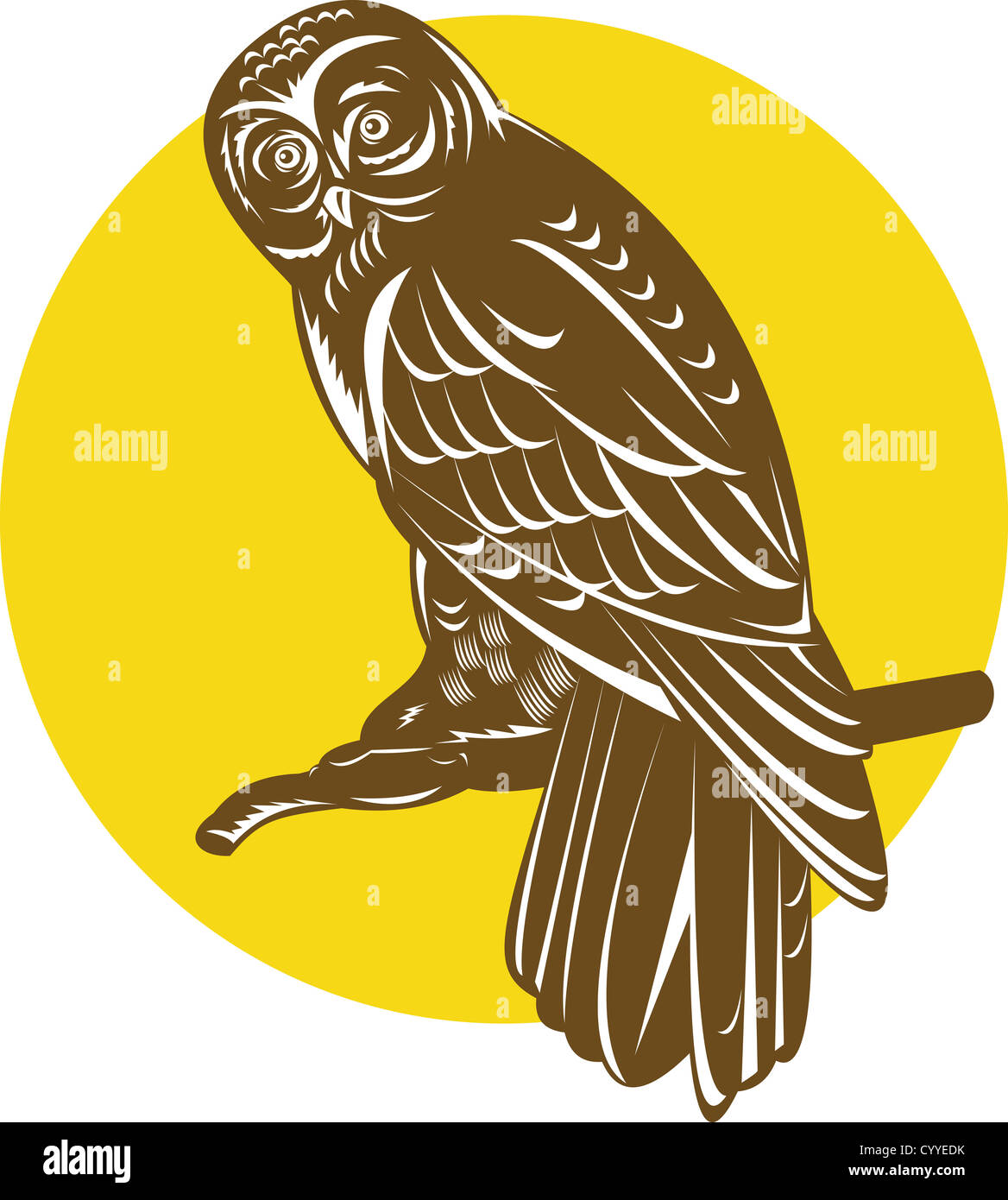 Illustration of an owl perching on branch done in retro woodcut style. Stock Photo