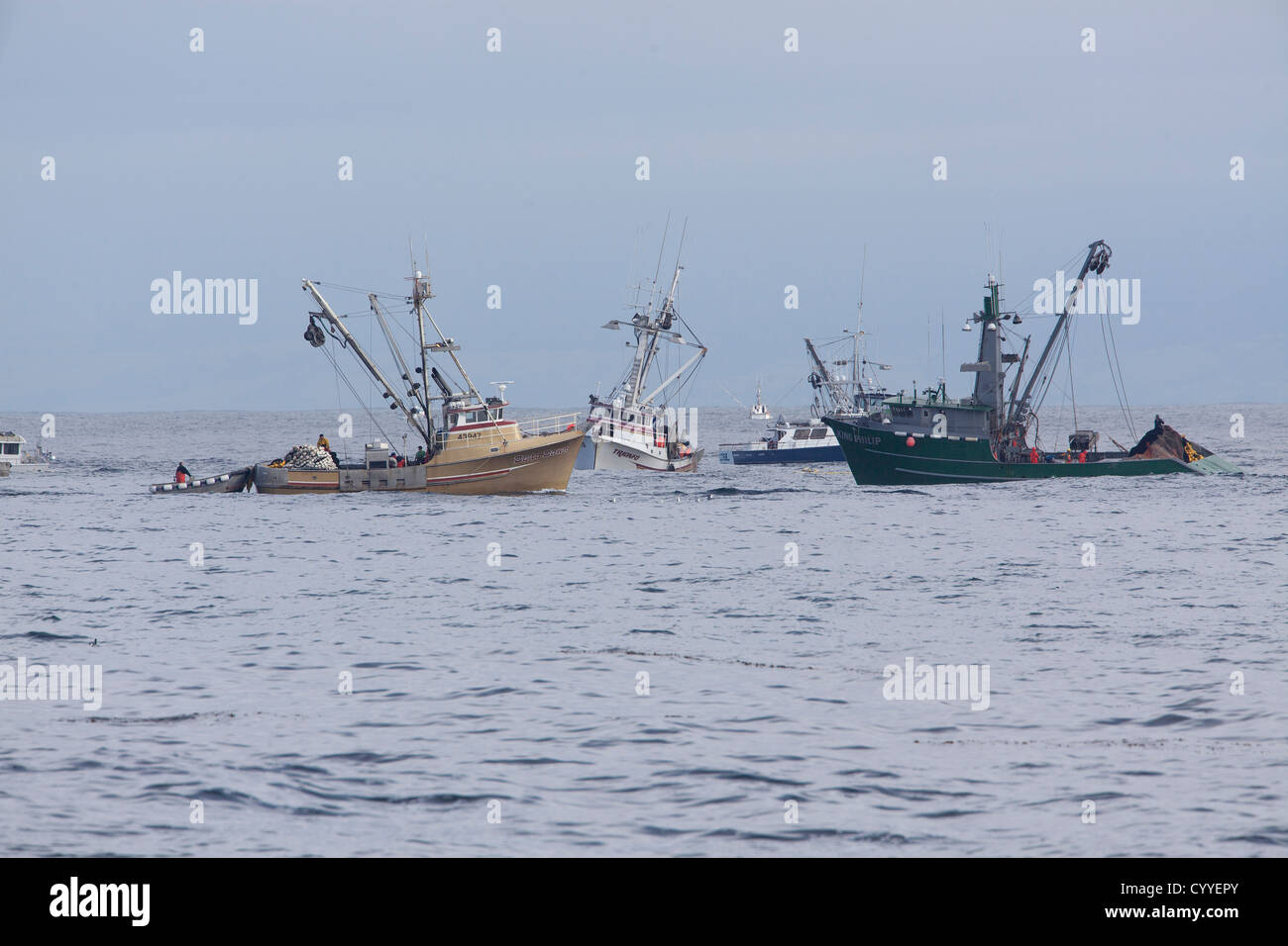 Fishermen pull in their catch on Monterey Bay, California. Stock Photo