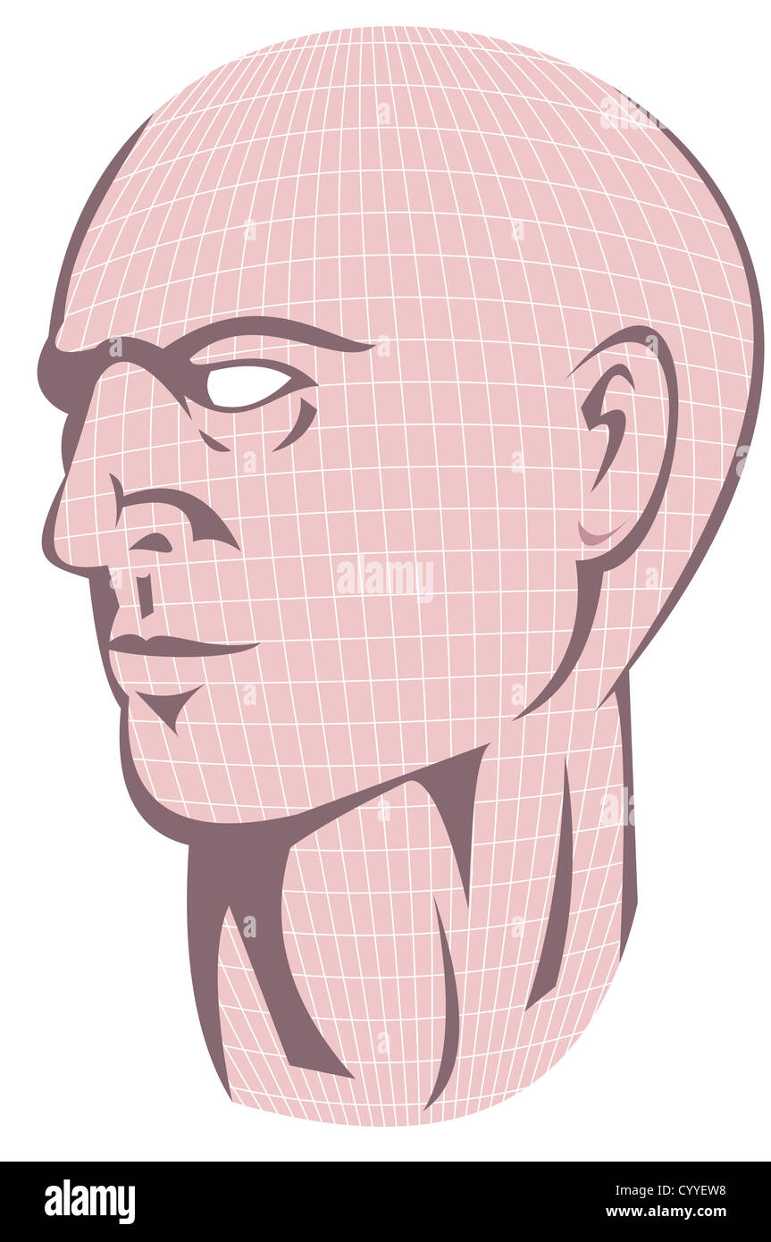 Illustration of a male human head with grid looking to side. Stock Photo