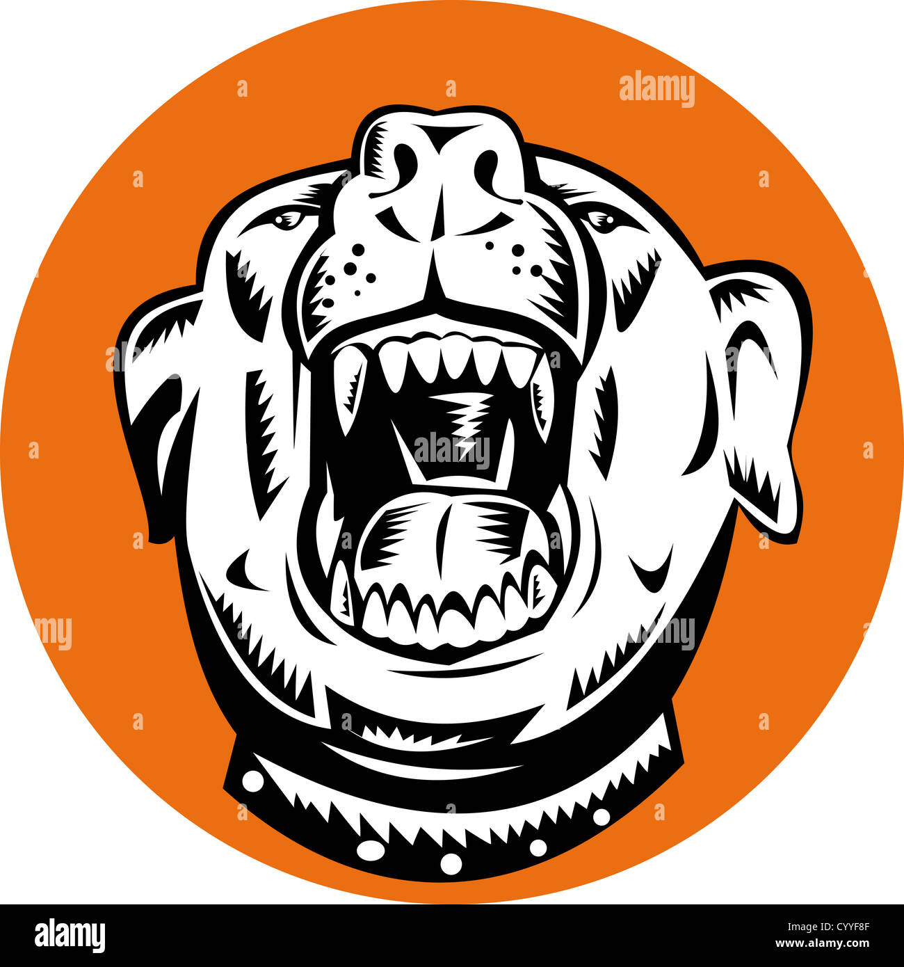 Illustration of an angry barking mongrel dog on white background. Stock Photo