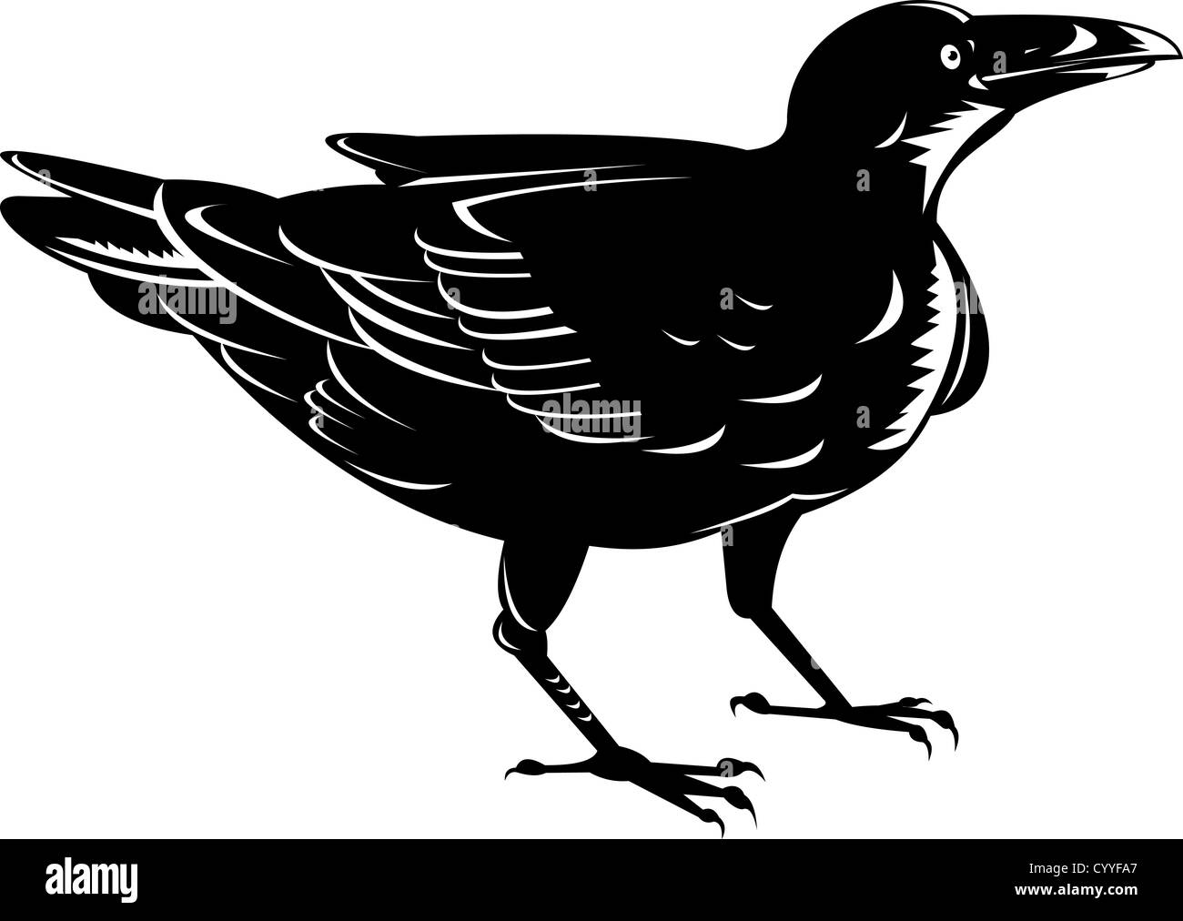 Illustration of a black raven done in retro woodcut style. Stock Photo