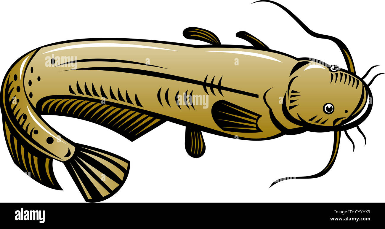illustration of a catfish jumping done in retro style Stock Photo