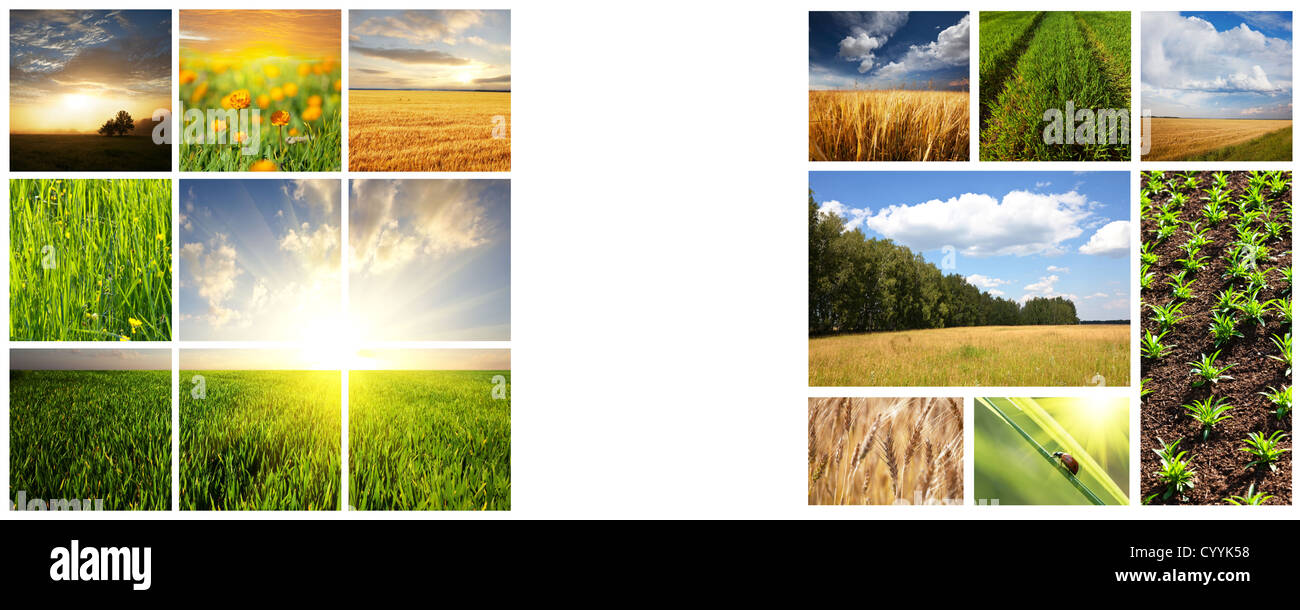 Green brown rural fields hi-res stock photography and images - Alamy