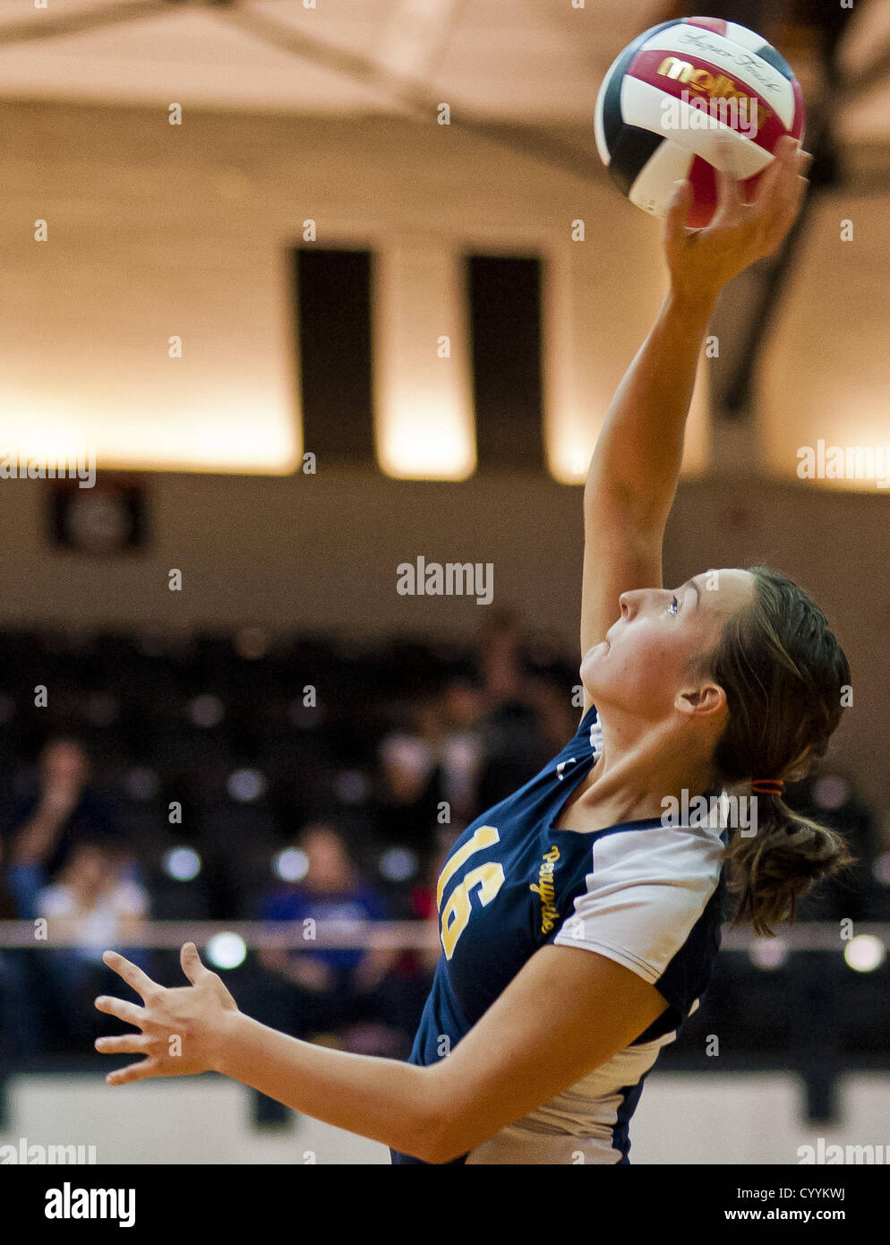 Nov. 12, 2012 - College Park, Maryland, U.S. - Perryville's Marissa Phillips tries a kill shot during the Perryville High School versus Dunbar High School match in the Semifinals of the Maryland State Volleyball 1A Championship at Ritchie Coliseum in College Park, Maryland on November 12, 2012. Perryville defeated Dunbar 25-21, 25-7 and 25-22 in straights sets to earn a rematch with Smithsburg for the State 1A Title. (Credit Image: © Scott Serio/Eclipse/ZUMAPRESS.com) Stock Photo