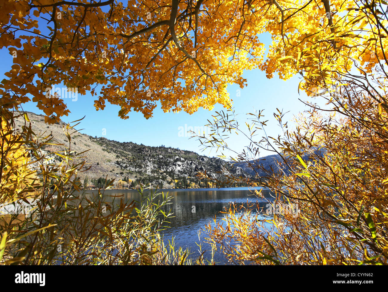 Beautiful autumn background hi-res stock photography and images - Alamy