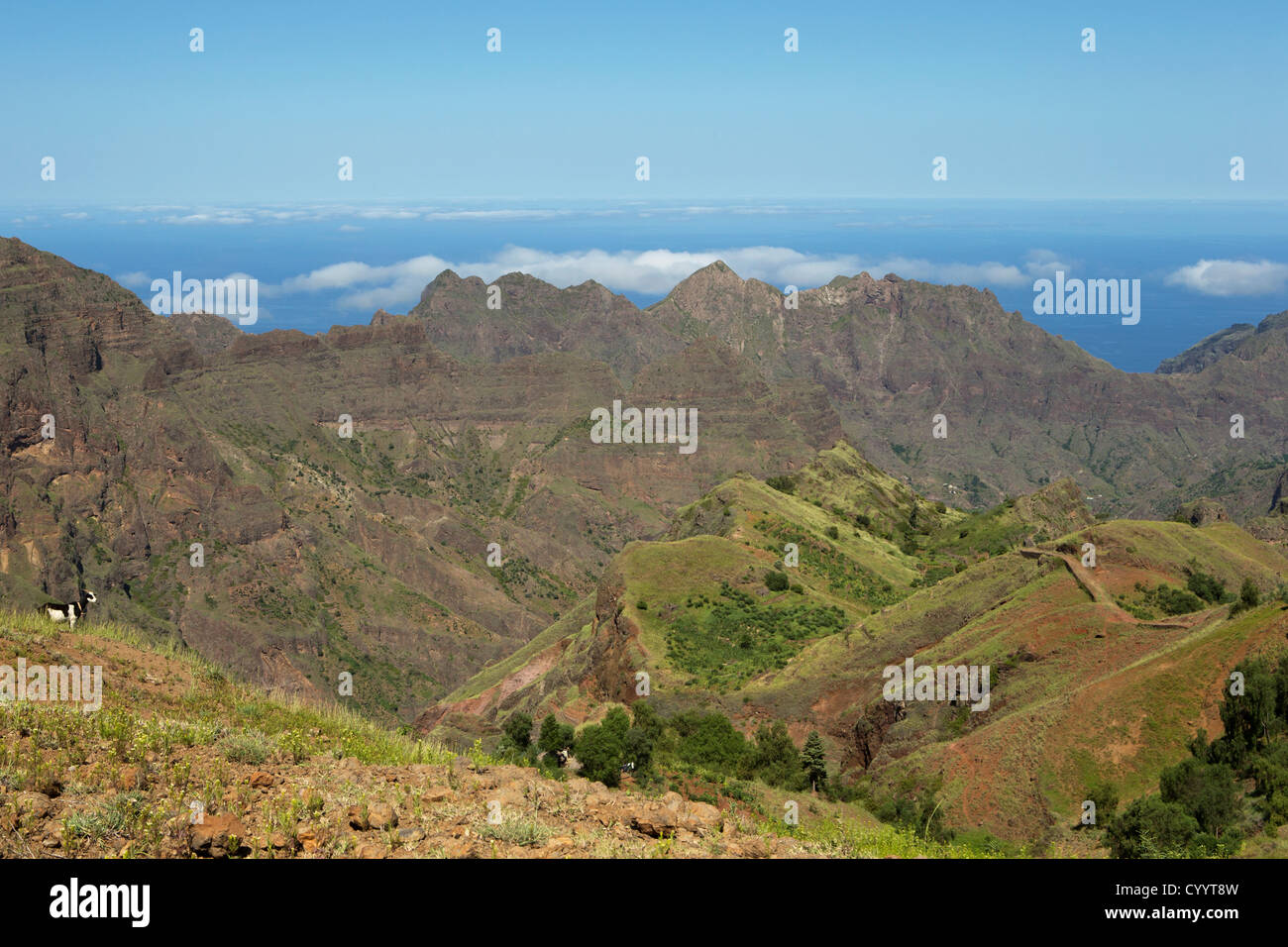 Atano cape main image 1