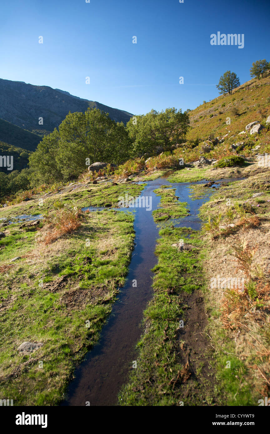 river at gredos mountains in avila spain Stock Photo - Alamy
