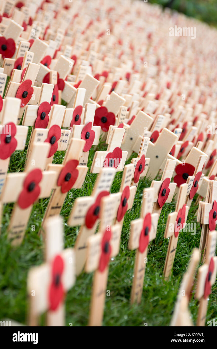 Field of remembrance Stock Photo