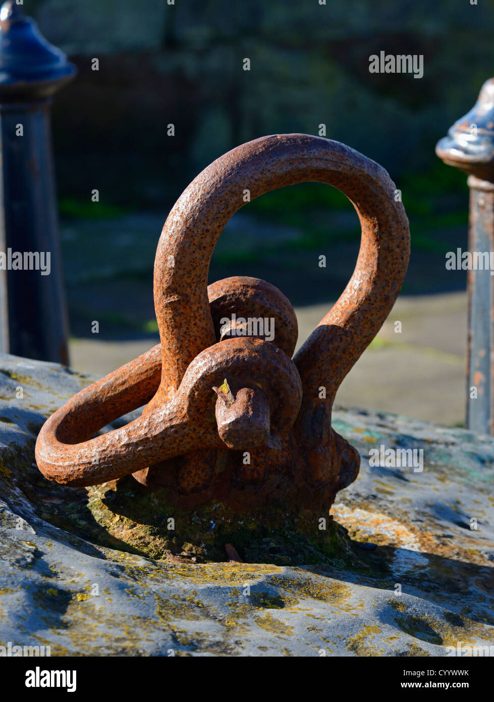 Rusted iron shackle.The Harbour, Whitehaven, Cumbria, England, United Kingdom, Europe. Stock Photo