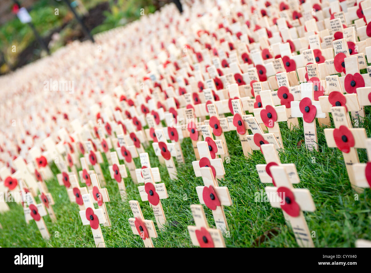 Field of remembrance Stock Photo