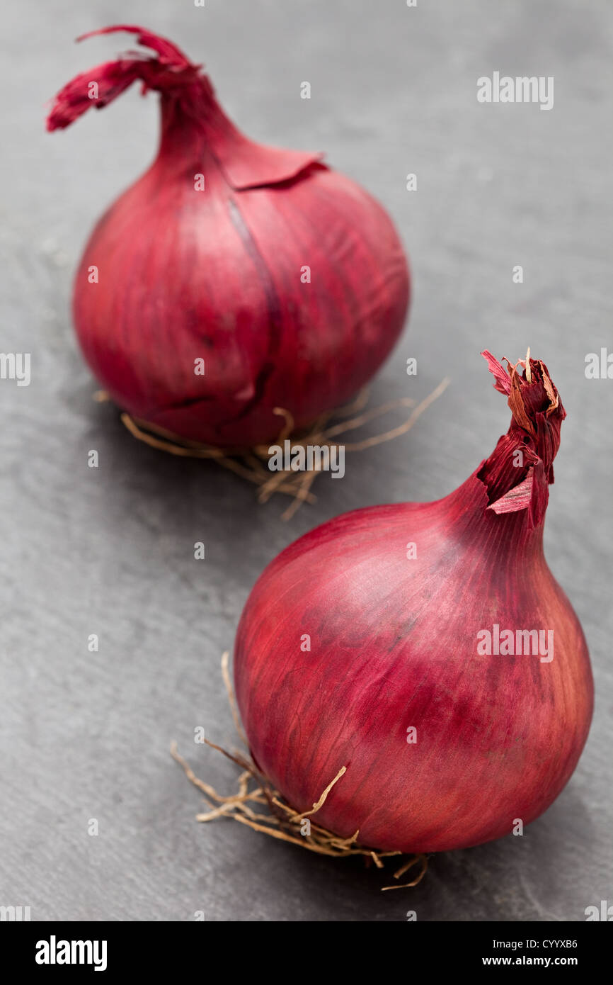 Two fresh red onions on a slate background Stock Photo