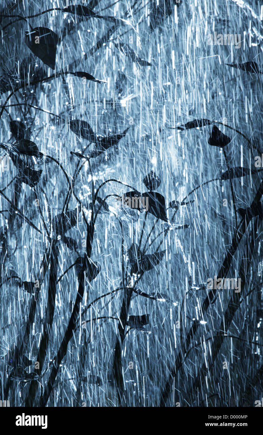 Rain in garden Stock Photo