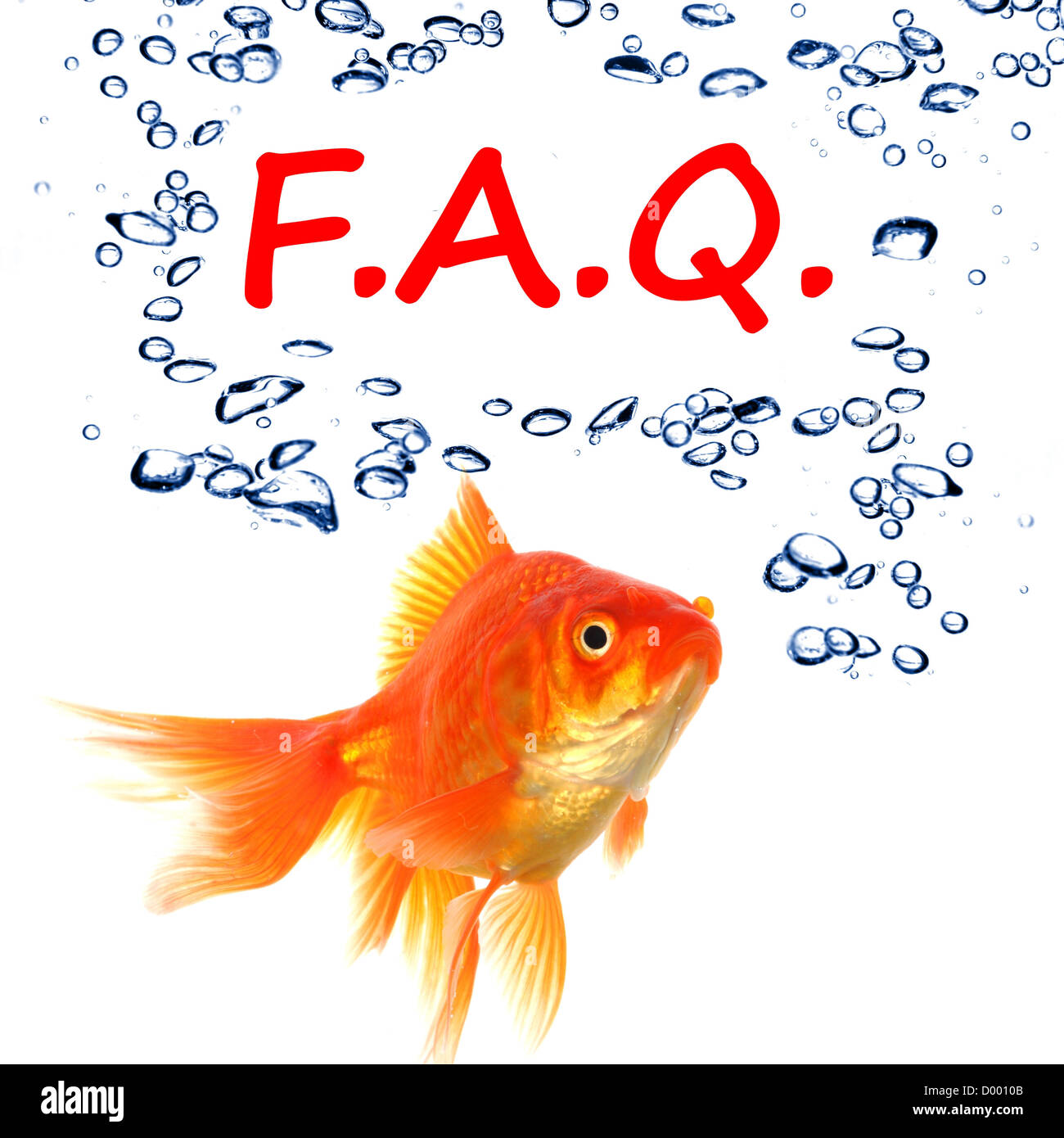 faq or frequently asked questions concept with goldfish Stock Photo Alamy