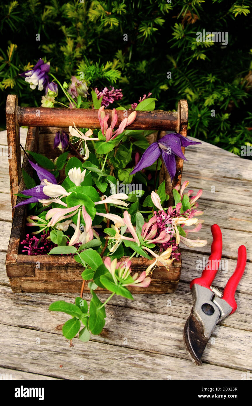 Fresh cut flowers from the garden in a wooden tray Stock Photo