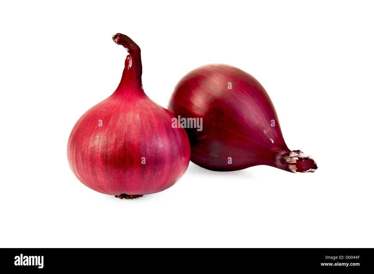 Two purple onions isolated on white background Stock Photo Alamy