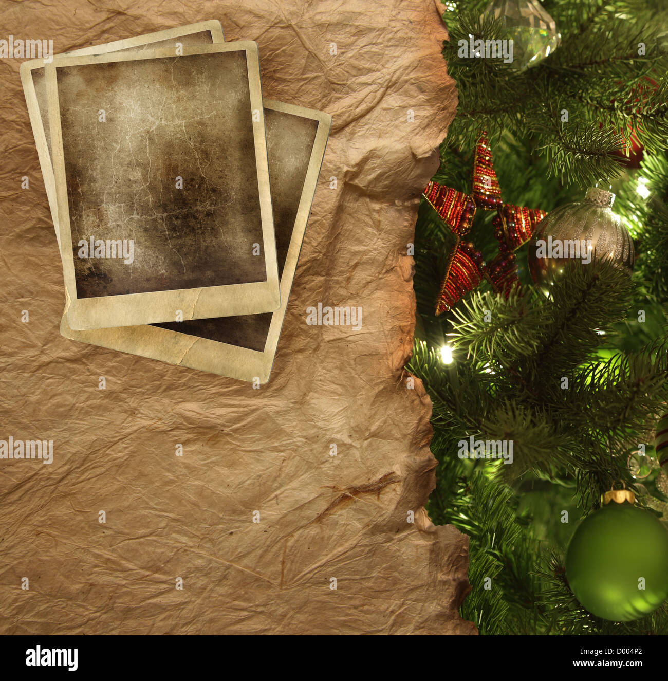 Old Parchment Paper With Copy Space On Christmas Tree Branch