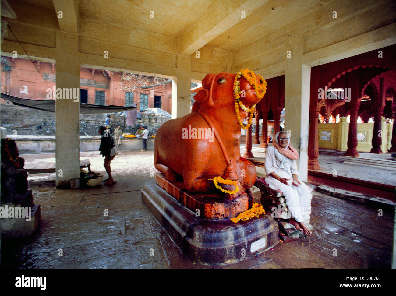 Varanasi India Nandi The Steed Of Lord Shiva & Garlands Stock Photo