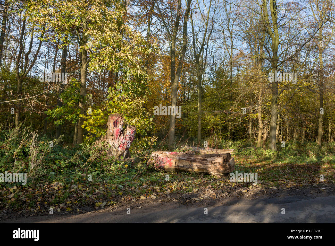 David Hockney’s “totem”, the iconic dead tree that featured in many of