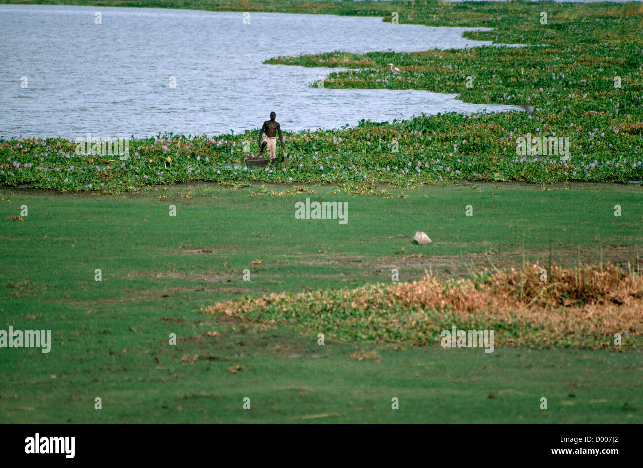 White Nile Sudan Marsh Area And Nomad Stock Photo