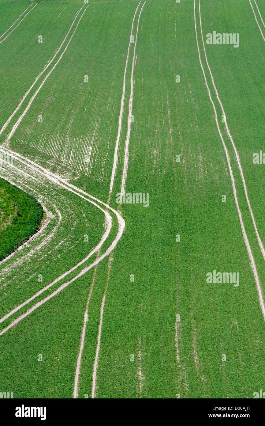 Fields sprouting crops hi-res stock photography and images - Alamy