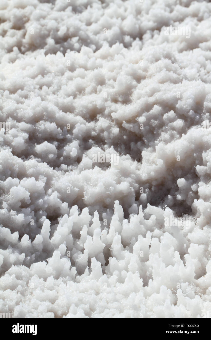 Closeup of halite crystals (sodium chloride) at Badwater Basin in Death Valley, California, USA Stock Photo