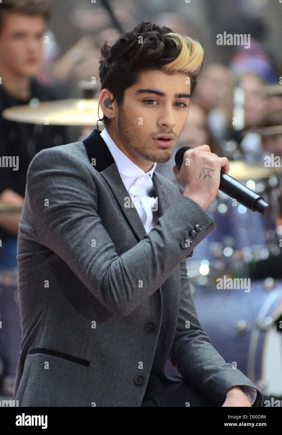 zayn crane 2