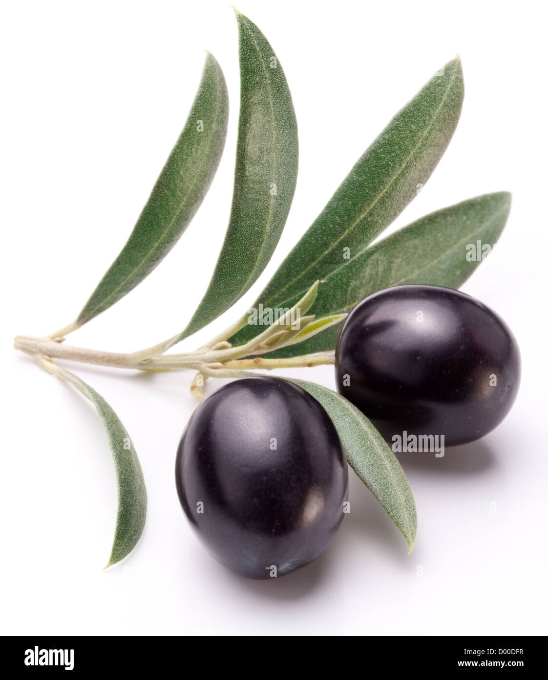 маслины на белом фоне. 2 маслины. большие маслины. двойная для оливок. 2 маслины.