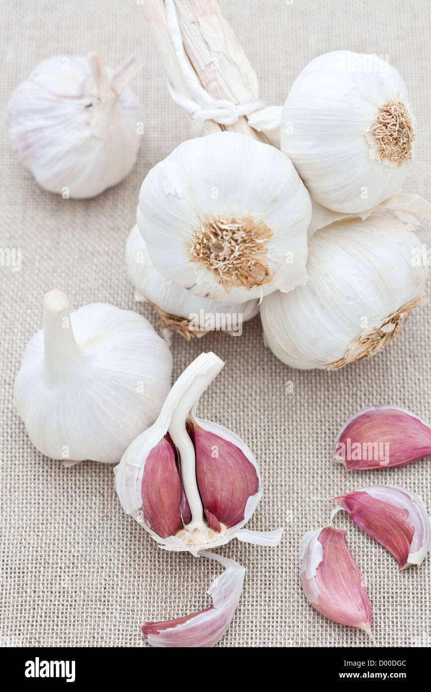 Cloves of fresh garlic on a hessian background Stock Photo - Alamy