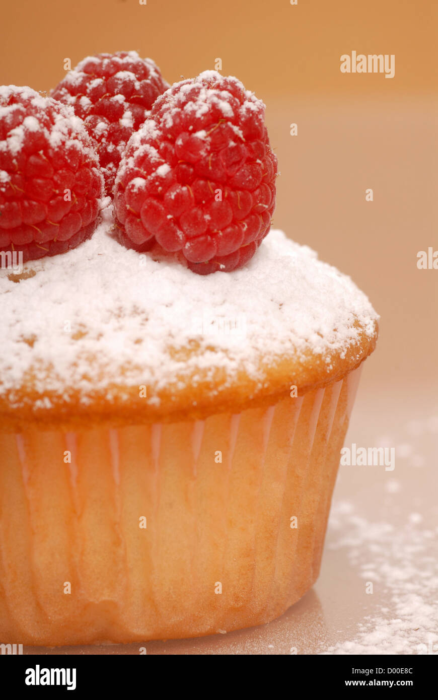 Closeup of freshly baked vanilla cupcake with raspberries and powdered sugar Stock Photo