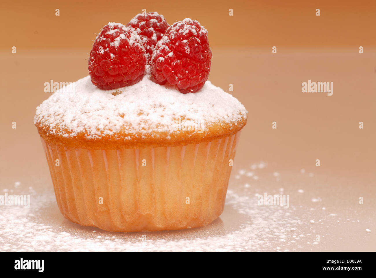 Freshly baked vanilla cupcake with raspberries and powdered sugar Stock Photo