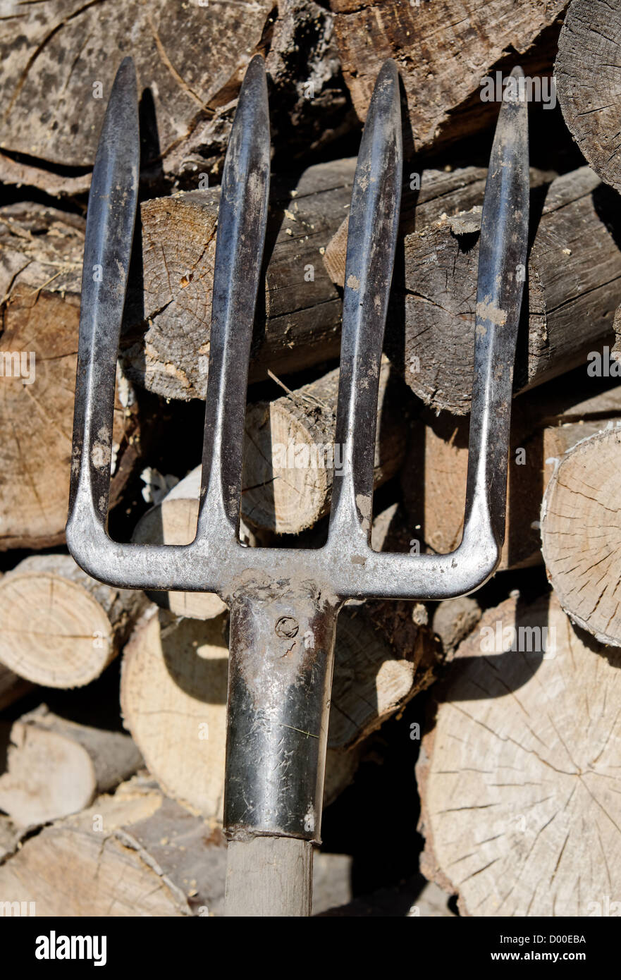 a manure fork Stock Photo Alamy