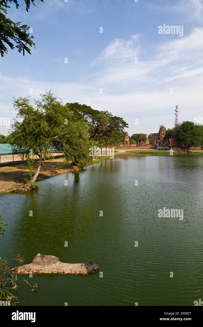 Ayutthaya nature hi-res stock photography and images - Alamy