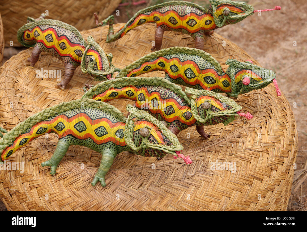 Malagasy Straw Chameleons. Antsirabe, Madagascar, Africa. Stock Photo