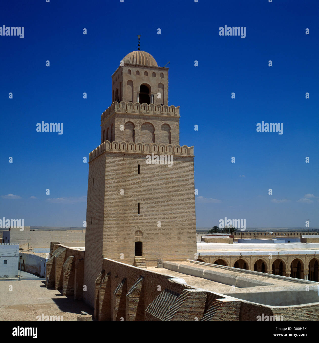 My Image 13